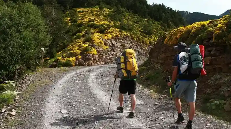 What Are Useful Ways to Make Money while Travel Backpacking - top picture with two backpackers on the road.
