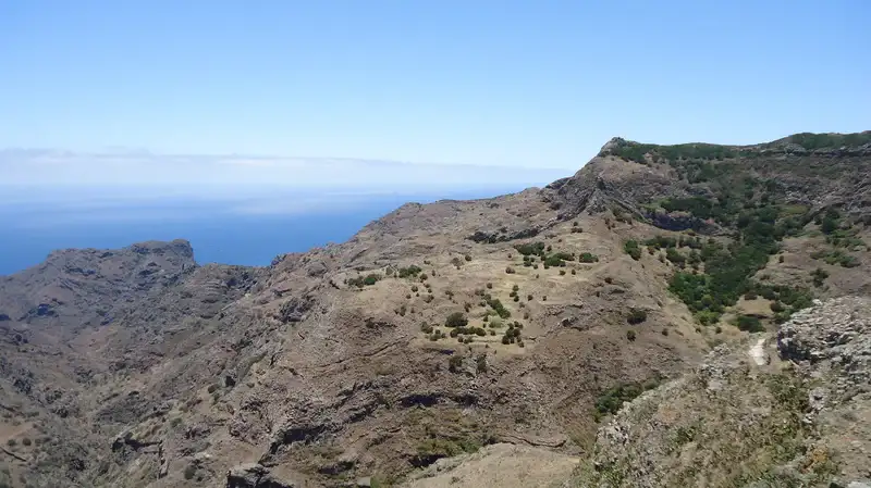 Pijaral Tenerife.